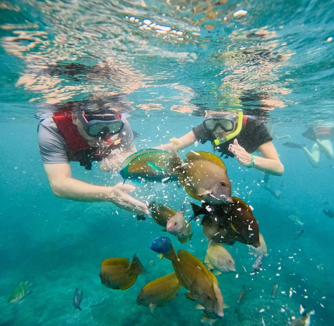 Nugroho Diving Center: Menyelam ke Dunia Bawah Laut Cilacap